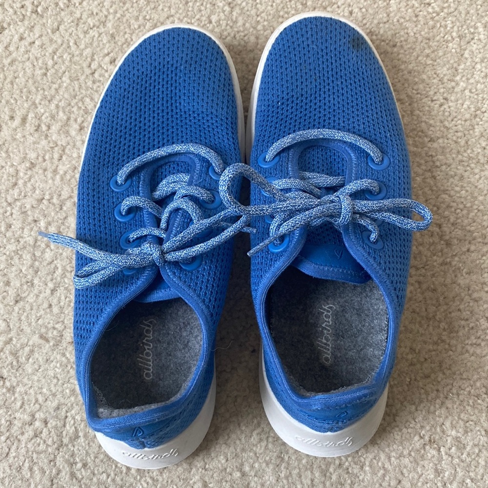 Allbirds Tree Runners Blue Sneaker